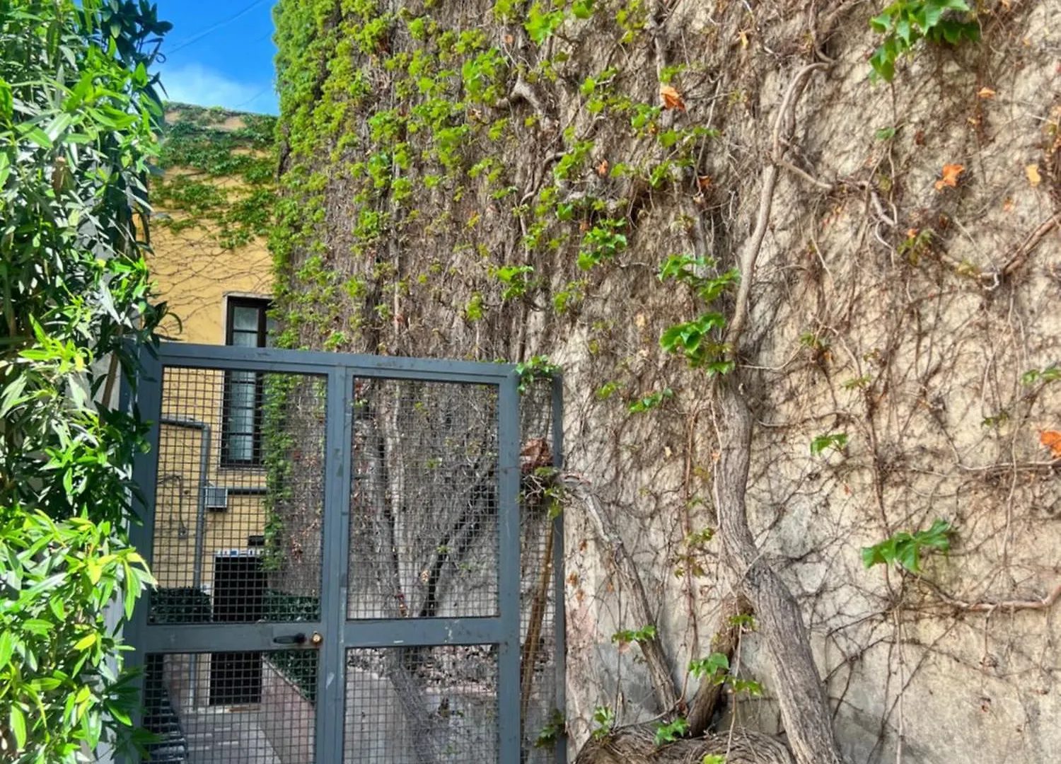 Etnea Palace CTA 0*,  Italien